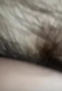 老婆的骚逼