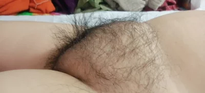 辽宁鞍山